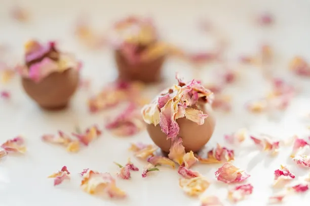 Койн365Бет Казино Android/iOS приложение